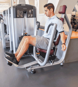 Chest Press Machine