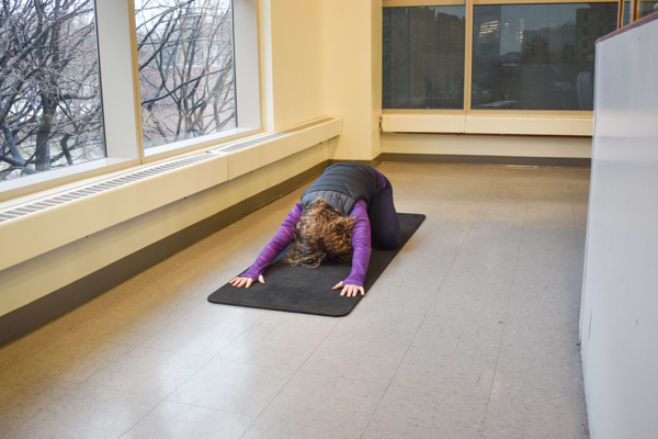 Flexibility Training Locations at the Z-Center